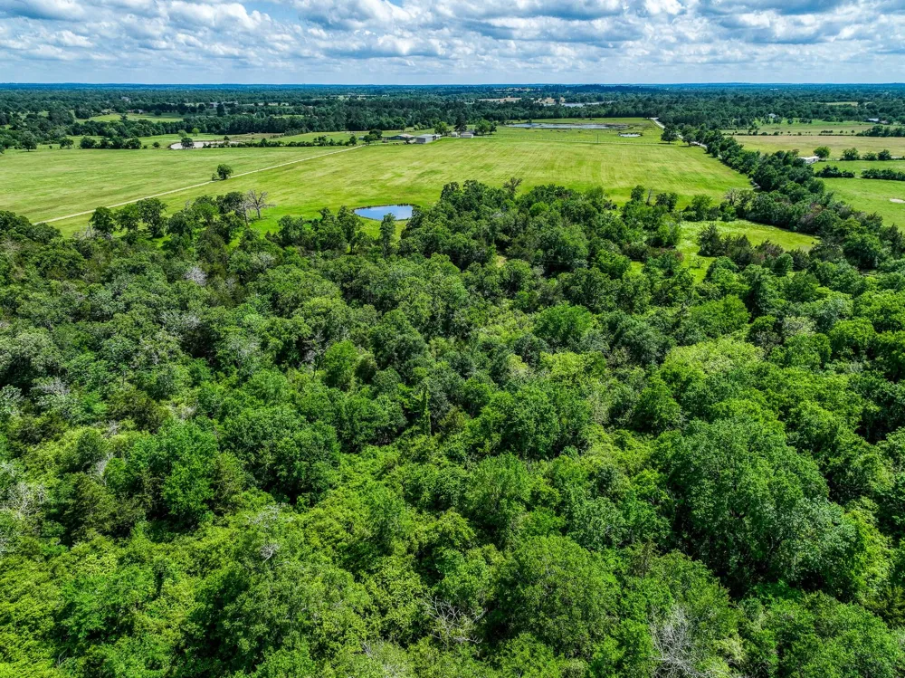County Road 132 Bedias, TX 77831