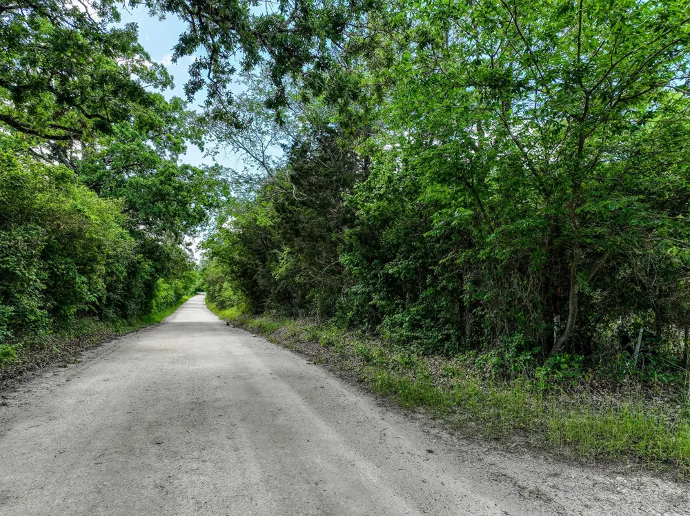 County Road 132 Bedias, TX 77831