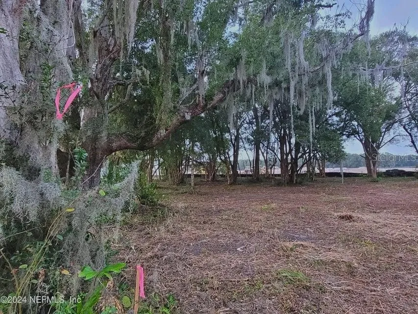 1250 HUNTINGTON ROAD Crescent City, FL 32112