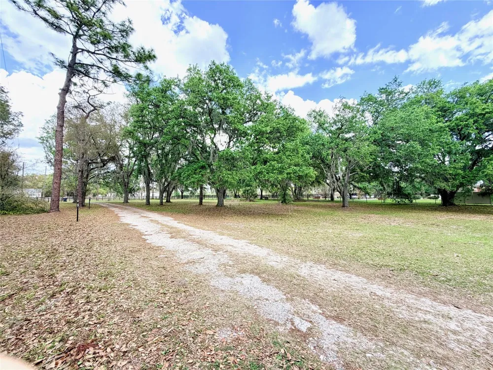 7001 W DORMANY ROAD Plant City, FL 33565