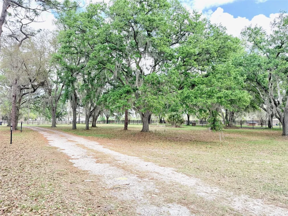 7001 W DORMANY ROAD Plant City, FL 33565