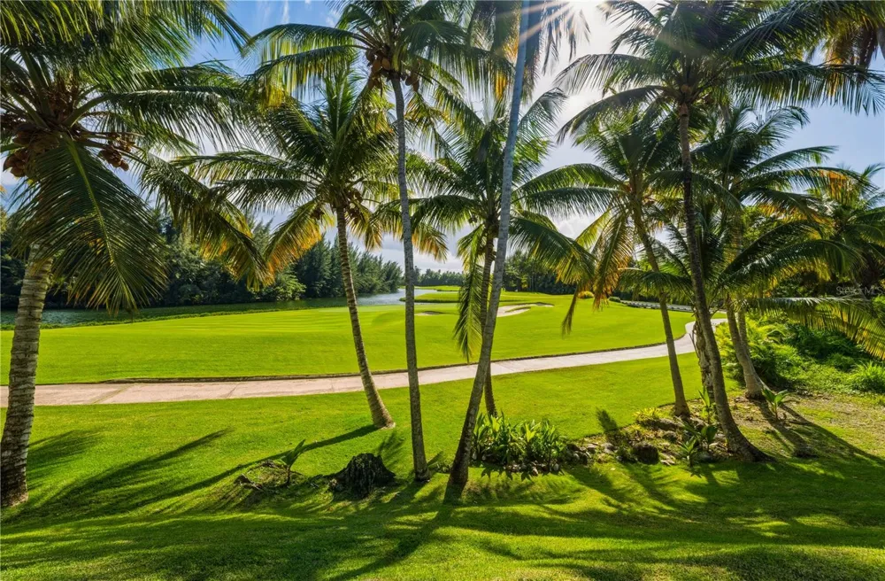 G8 ATLANTIC DRIVE, 7000 BAHIA BEACH BLVD. Rio Grande, PR 00745
