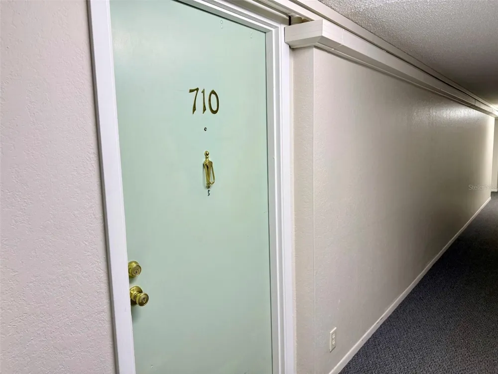 255 DOLPHIN POINT #710 Clearwater Beach, FL 33767