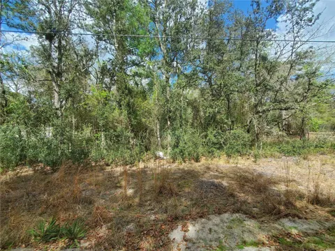 NE 172ND PL LOT 11