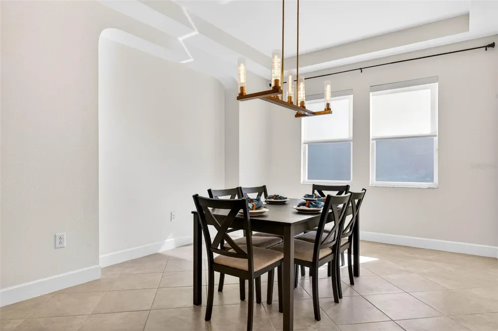 33487 AZALEA RIDGE DRIVE Wesley Chapel, FL 33545