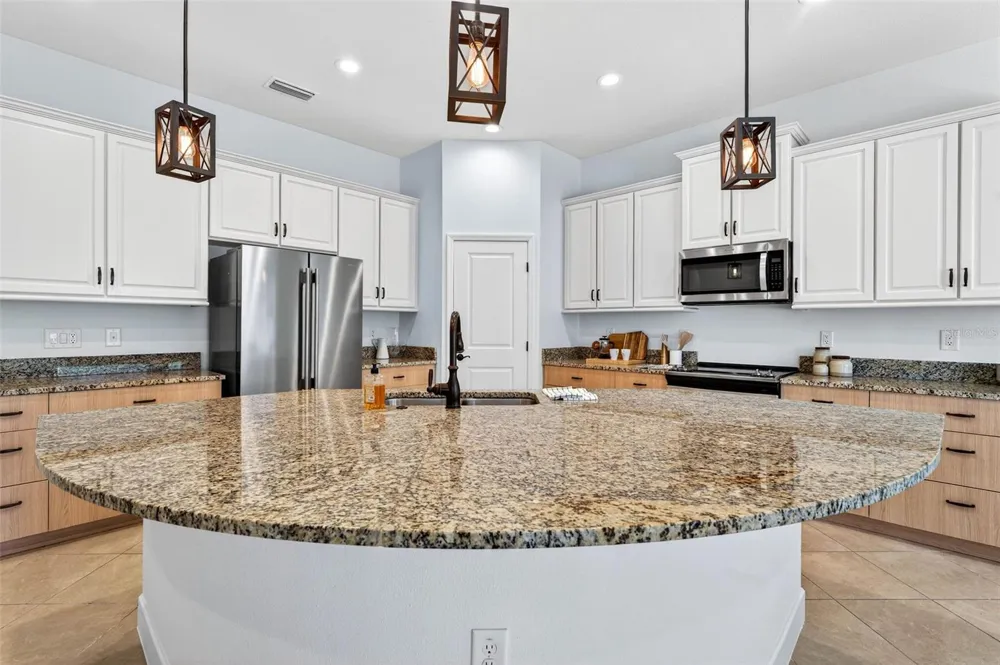 33487 AZALEA RIDGE DRIVE Wesley Chapel, FL 33545