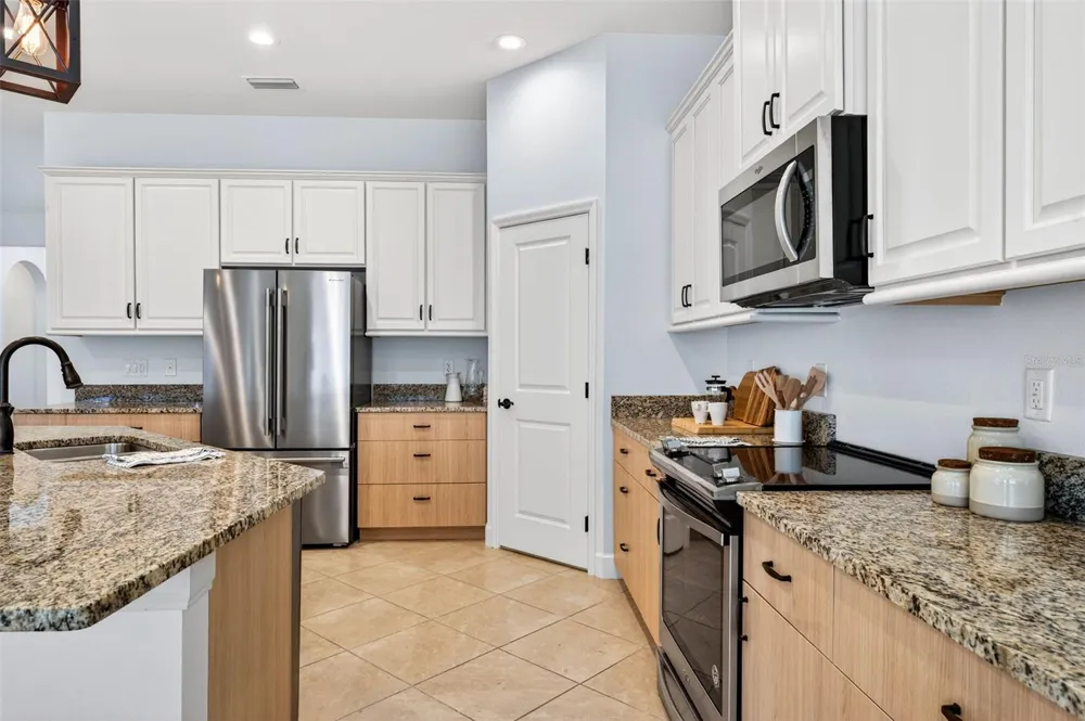 33487 AZALEA RIDGE DRIVE Wesley Chapel, FL 33545