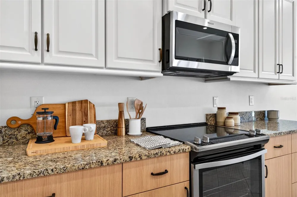 33487 AZALEA RIDGE DRIVE Wesley Chapel, FL 33545
