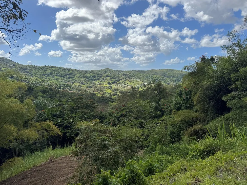 CARR 857 KM 6.3 Carolina, PR 00987