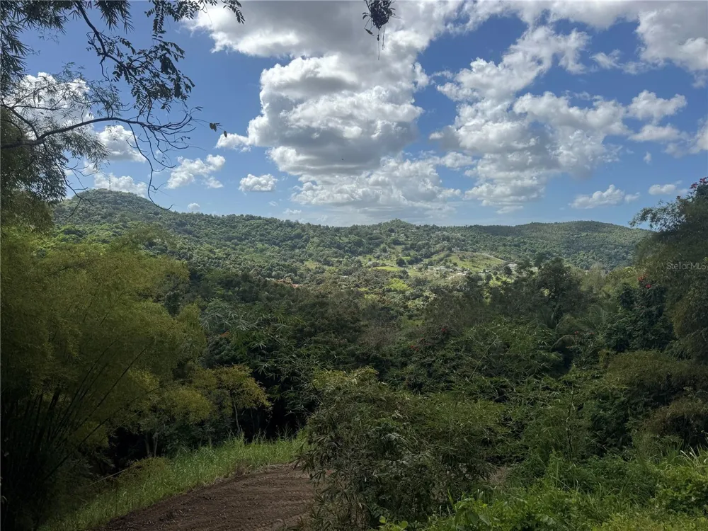 CARR 857 KM 6.3 Carolina, PR 00987