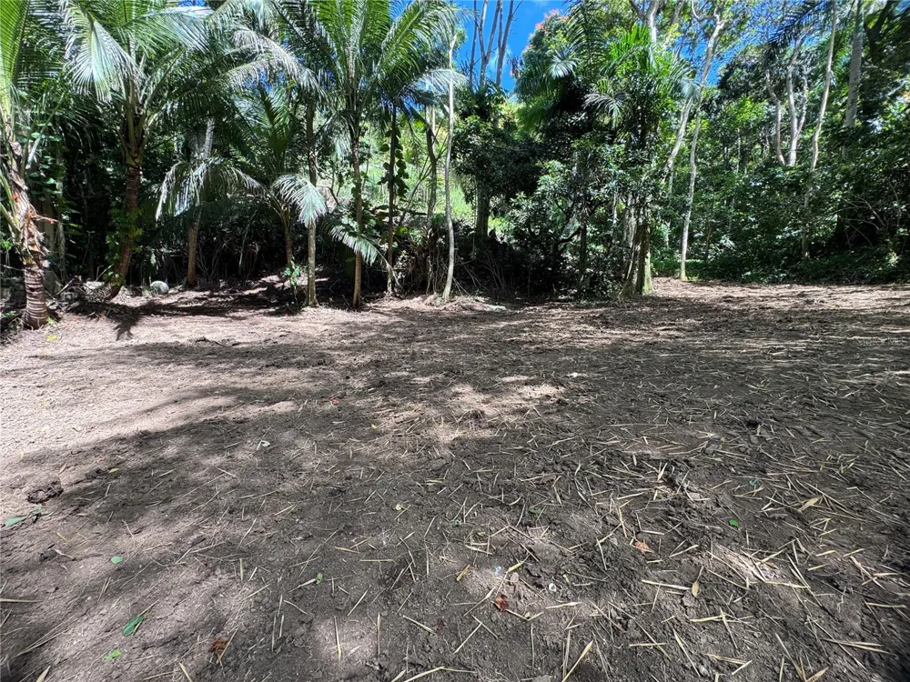 CARR 857 KM 6.3 Carolina, PR 00987