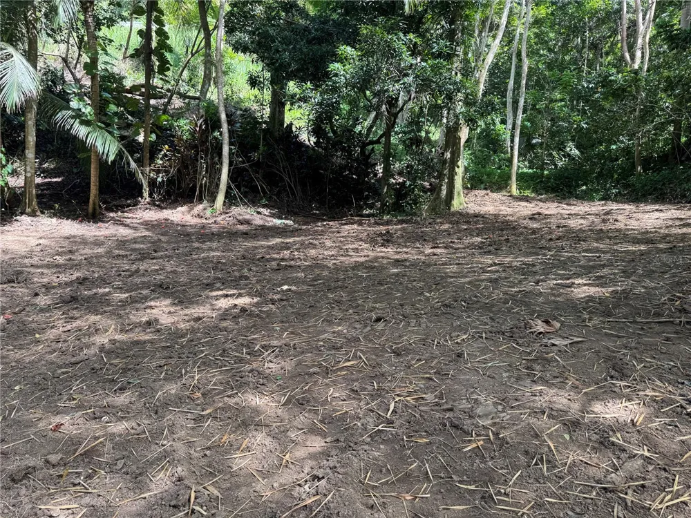 CARR 857 KM 6.3 Carolina, PR 00987