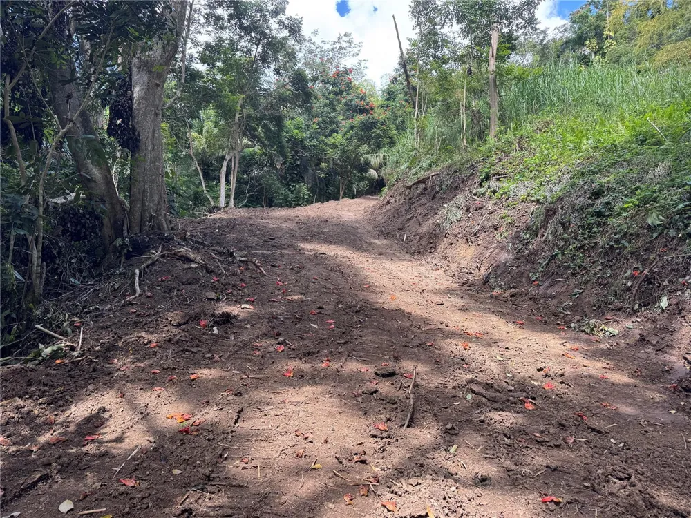 CARR 857 KM 6.3 Carolina, PR 00987