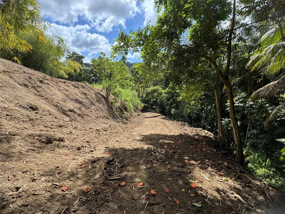 CARR 857 KM 6.3 Carolina, PR 00987