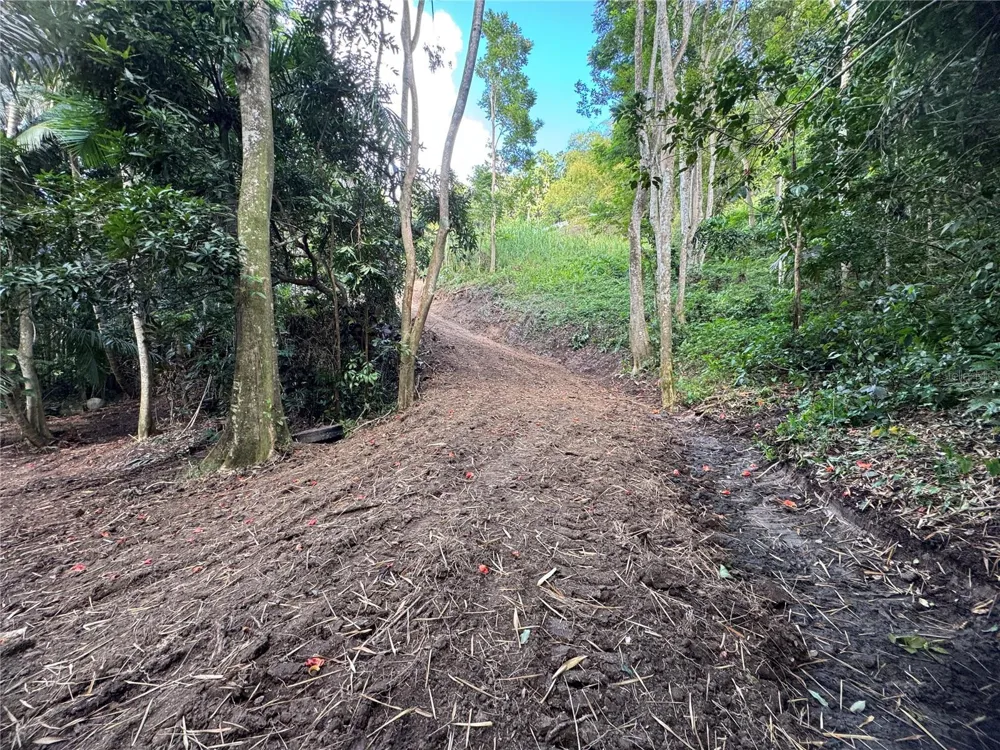 CARR 857 KM 6.3 Carolina, PR 00987