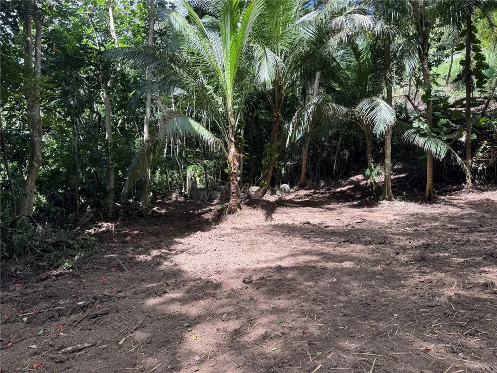 CARR 857 KM 6.3 Carolina, PR 00987