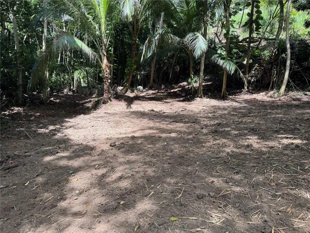 CARR 857 KM 6.3 Carolina, PR 00987