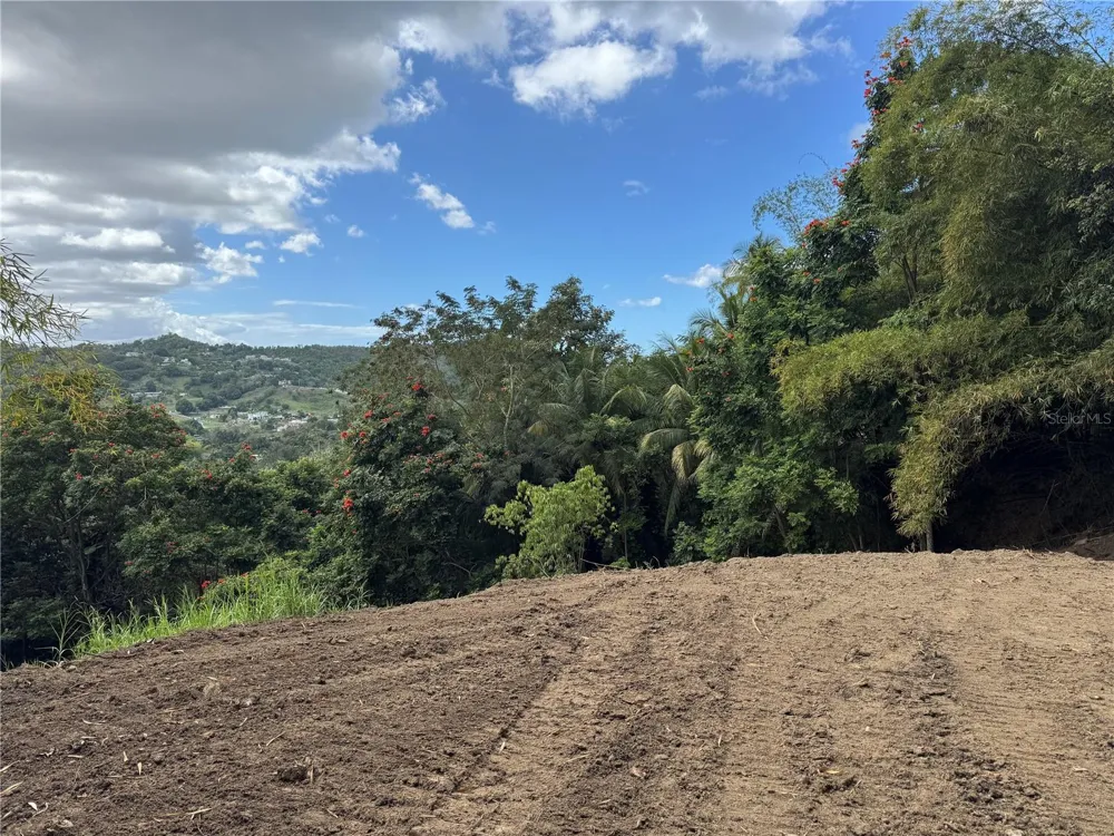 CARR 857 KM 6.3 Carolina, PR 00987