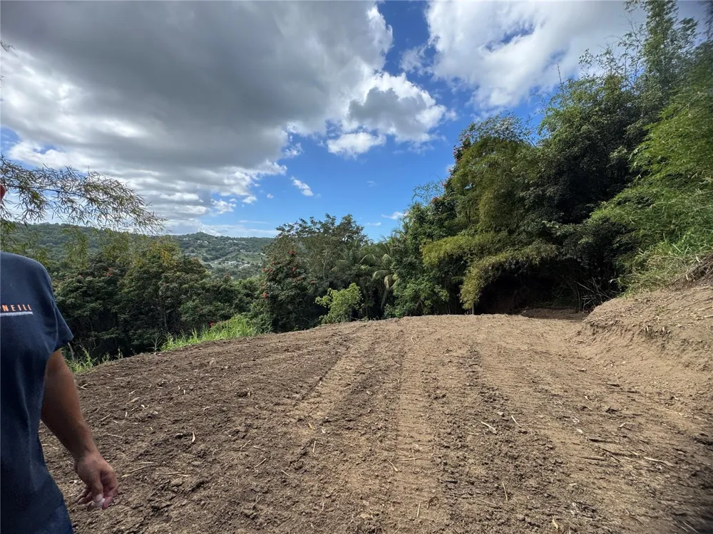 CARR 857 KM 6.3 Carolina, PR 00987