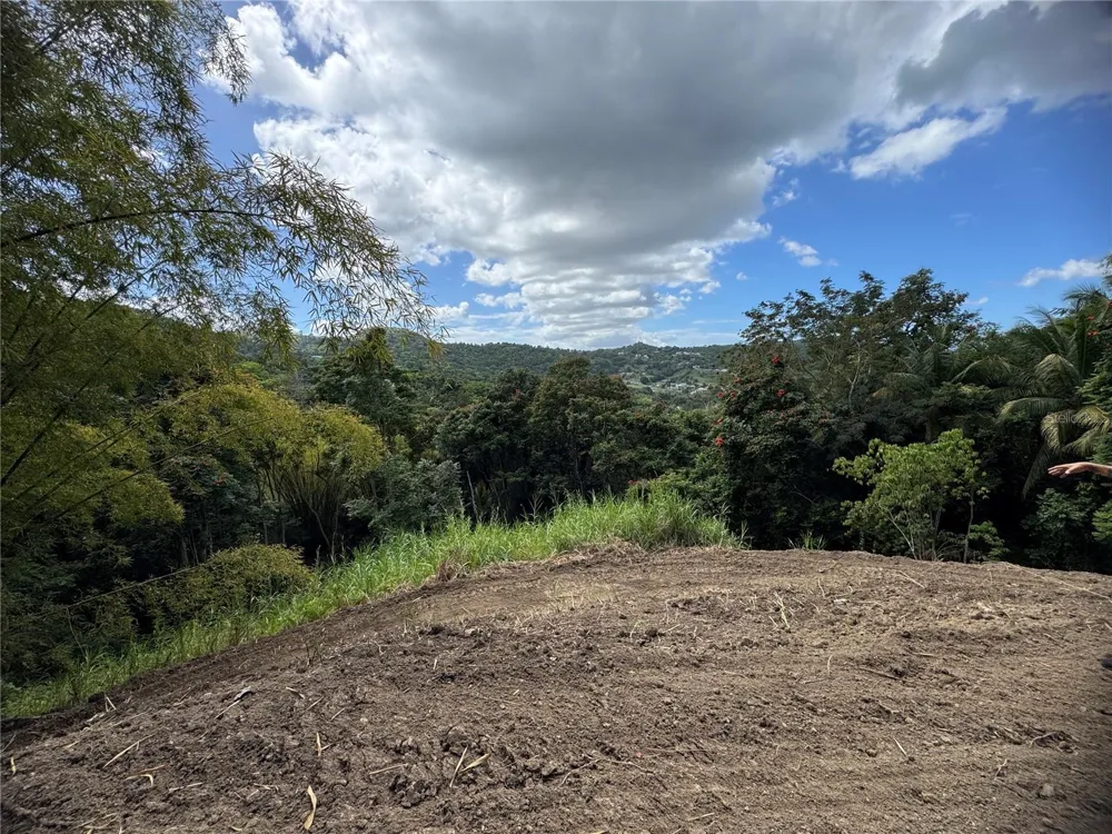 CARR 857 KM 6.3 Carolina, PR 00987