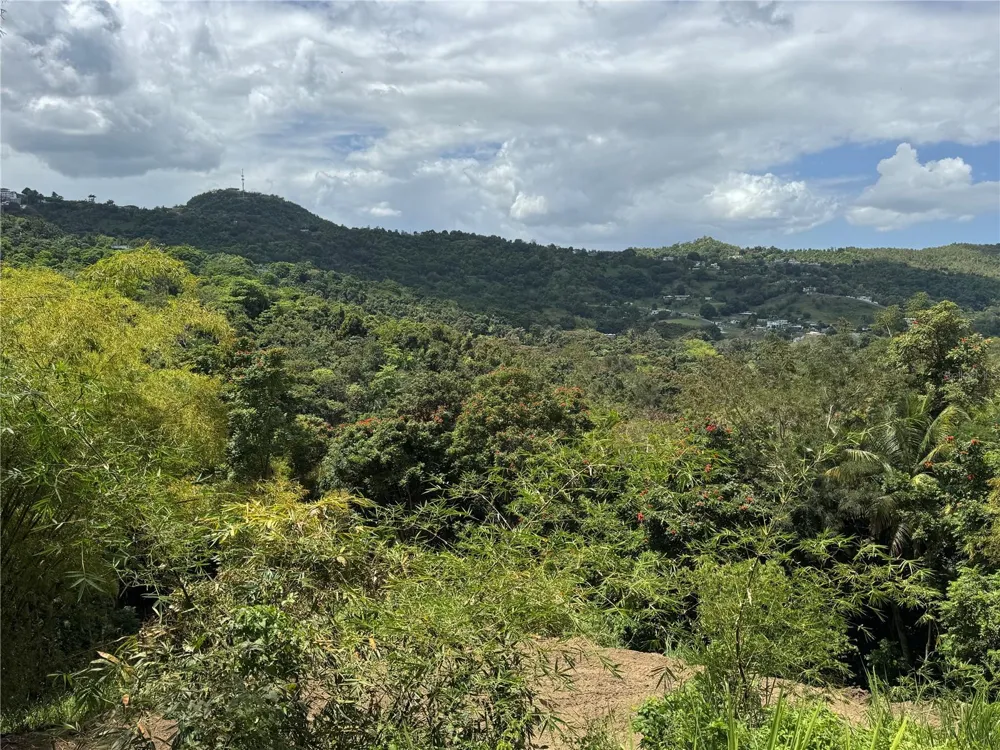 CARR 857 KM 6.3 Carolina, PR 00987