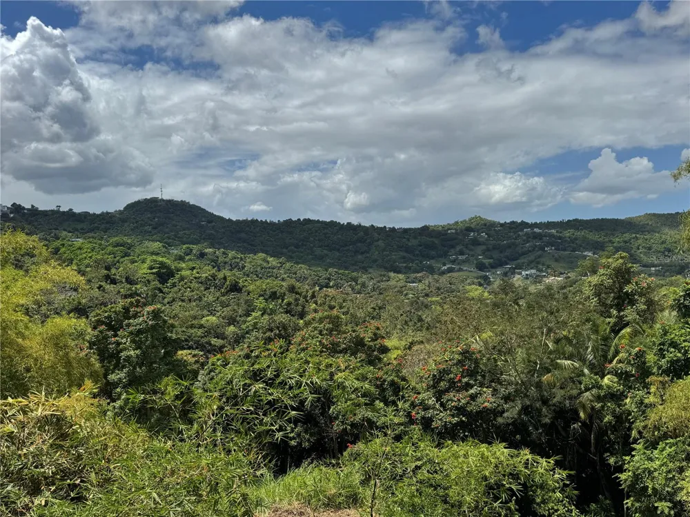 CARR 857 KM 6.3 Carolina, PR 00987