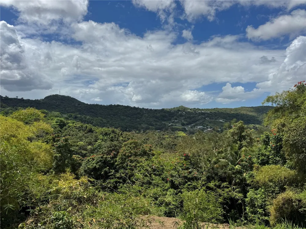 CARR 857 KM 6.3 Carolina, PR 00987