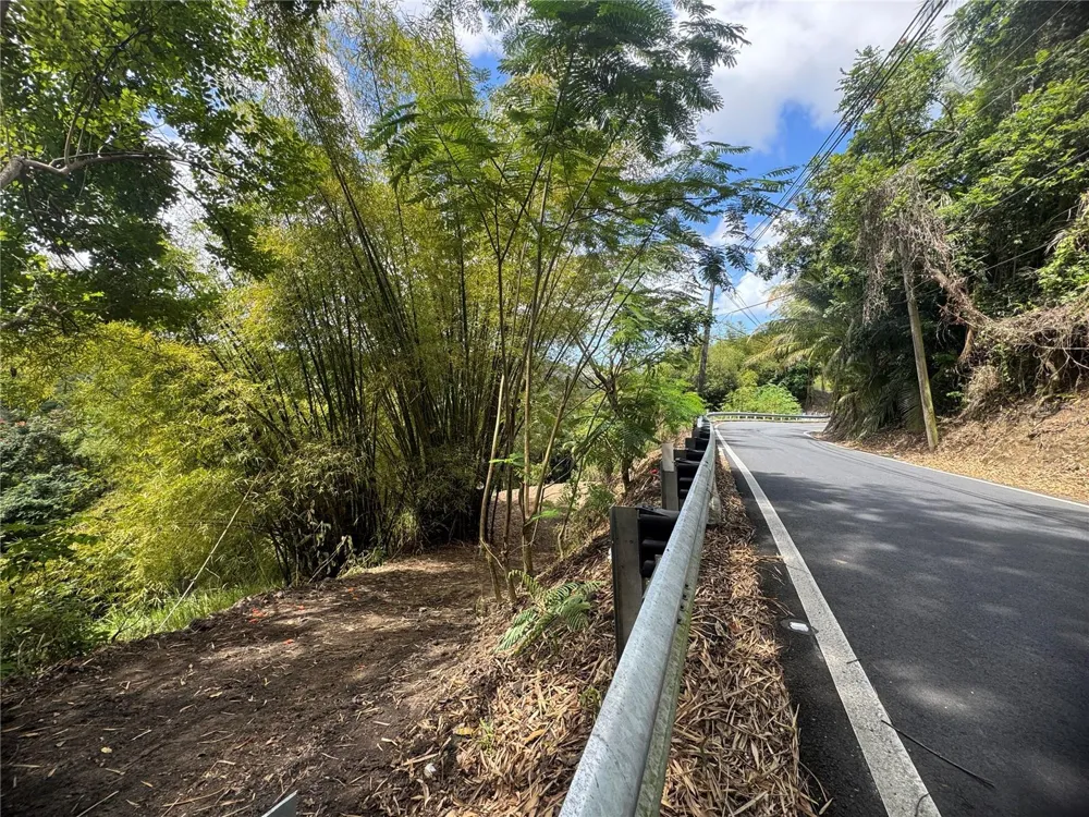 CARR 857 KM 6.3 Carolina, PR 00987