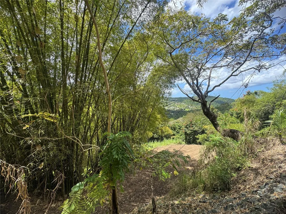 CARR 857 KM 6.3 Carolina, PR 00987