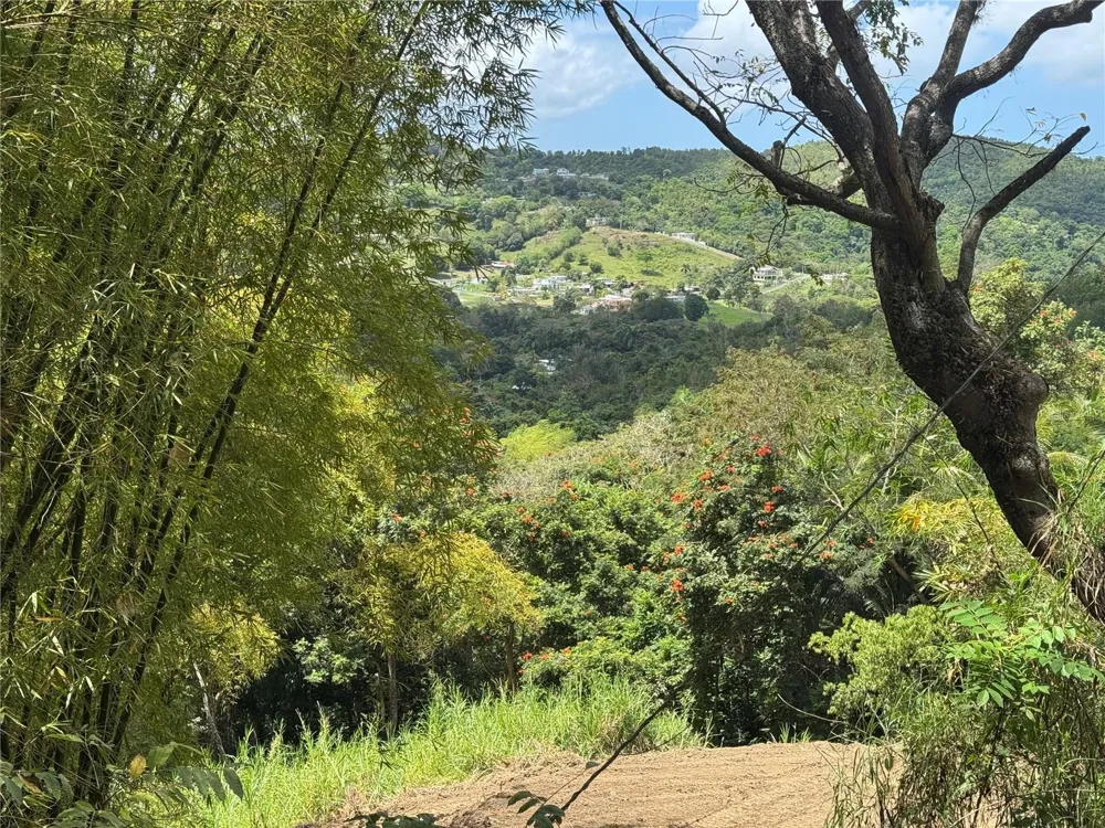 CARR 857 KM 6.3 Carolina, PR 00987