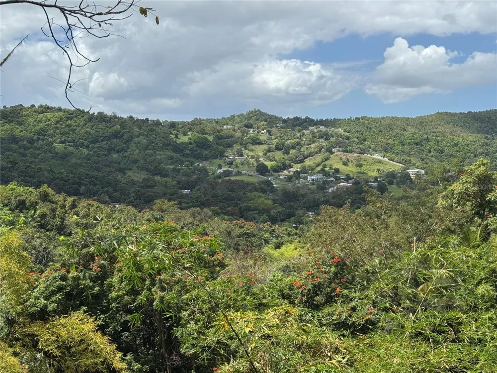 CARR 857 KM 6.3 Carolina, PR 00987