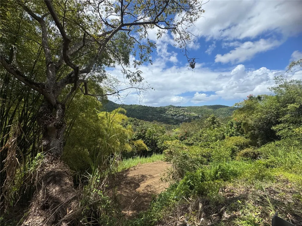 CARR 857 KM 6.3 Carolina, PR 00987
