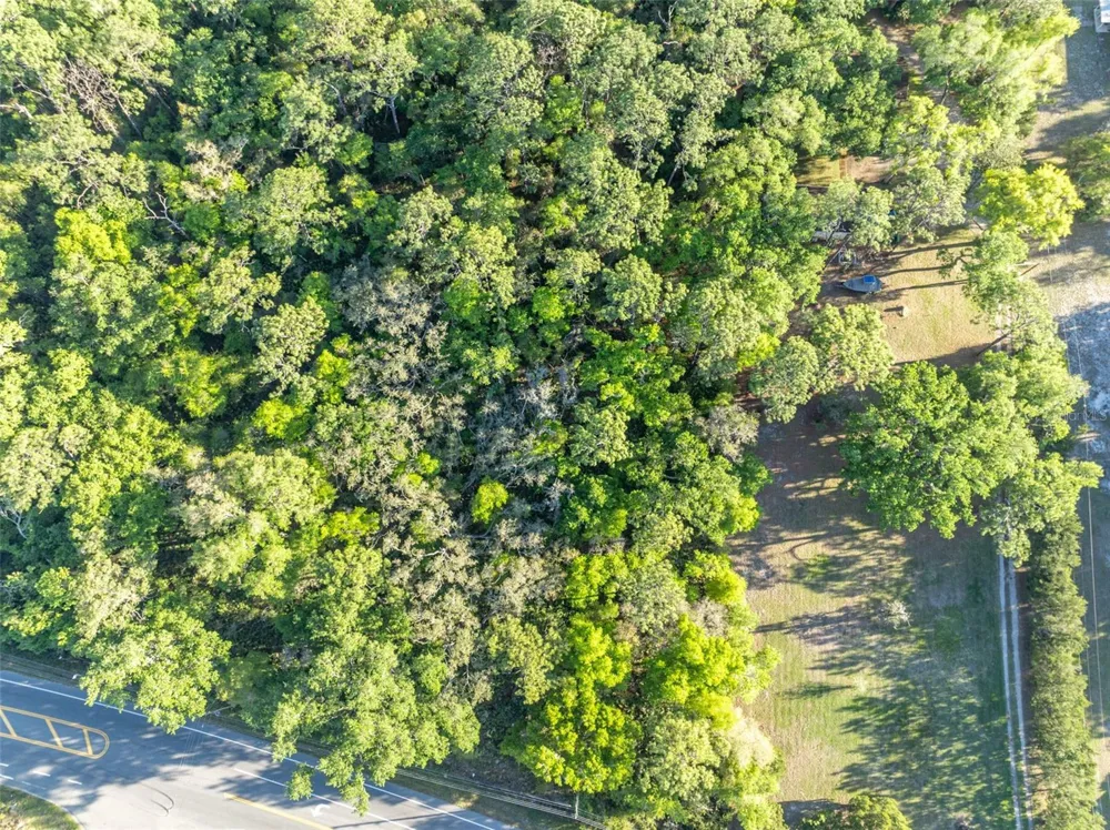 TBD COUNTY ROAD 48 Yalaha, FL 34797