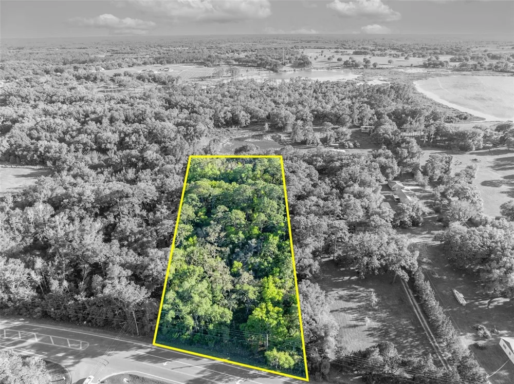 TBD COUNTY ROAD 48 Yalaha, FL 34797