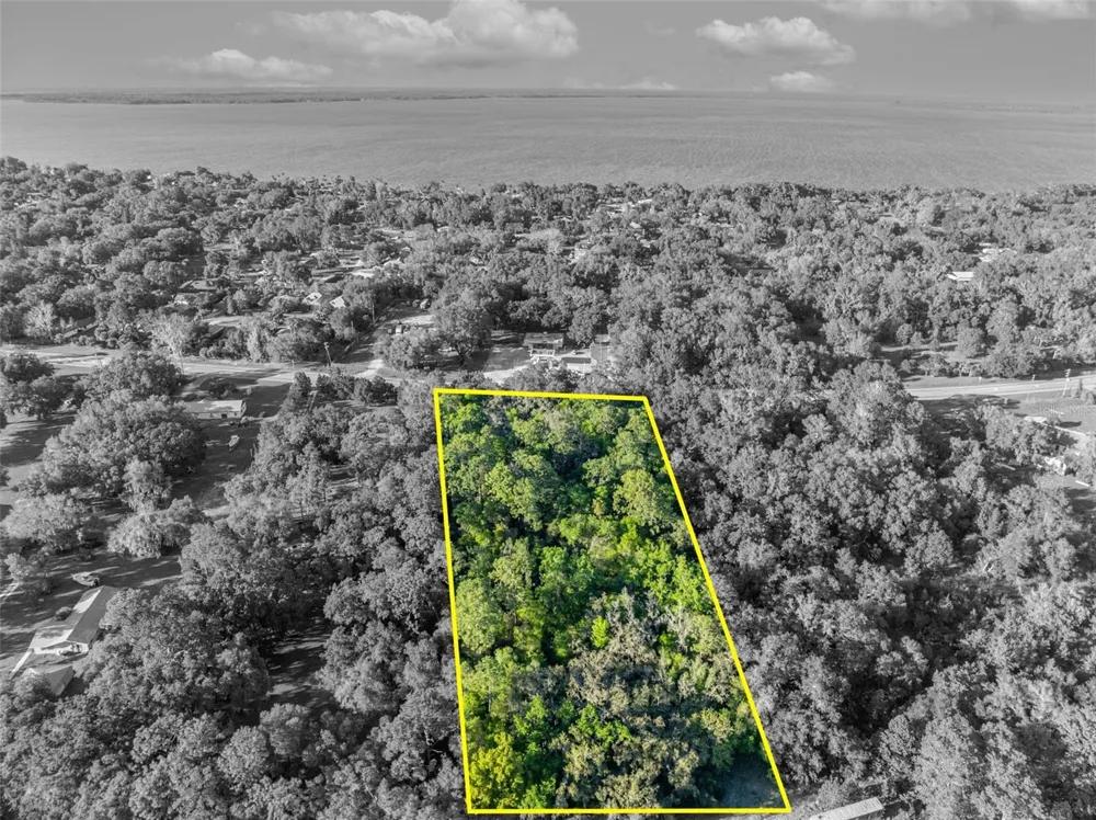 TBD COUNTY ROAD 48 Yalaha, FL 34797