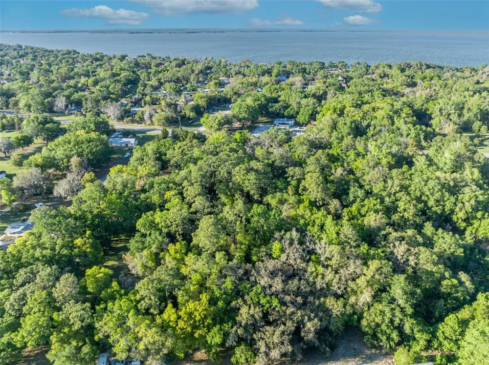 TBD COUNTY ROAD 48 Yalaha, FL 34797