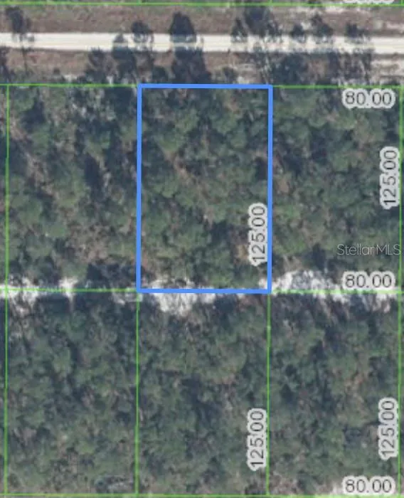 629 PARAKEET AVENUE Sebring, FL 33872