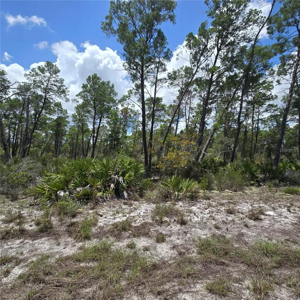 629 PARAKEET AVENUE Sebring, FL 33872