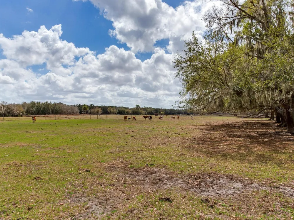 0 S CR 39 Lithia, FL 33547