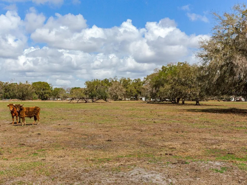 0 S CR 39 Lithia, FL 33547