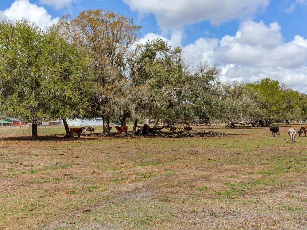 0 S CR 39 Lithia, FL 33547