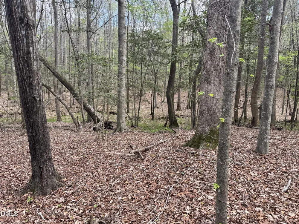 0 Westerman Place Smithfield, NC 27577
