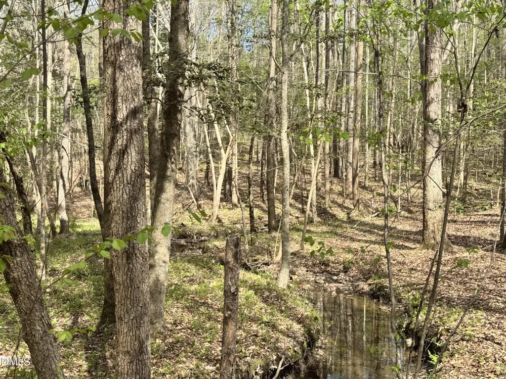 0 Westerman Place Smithfield, NC 27577