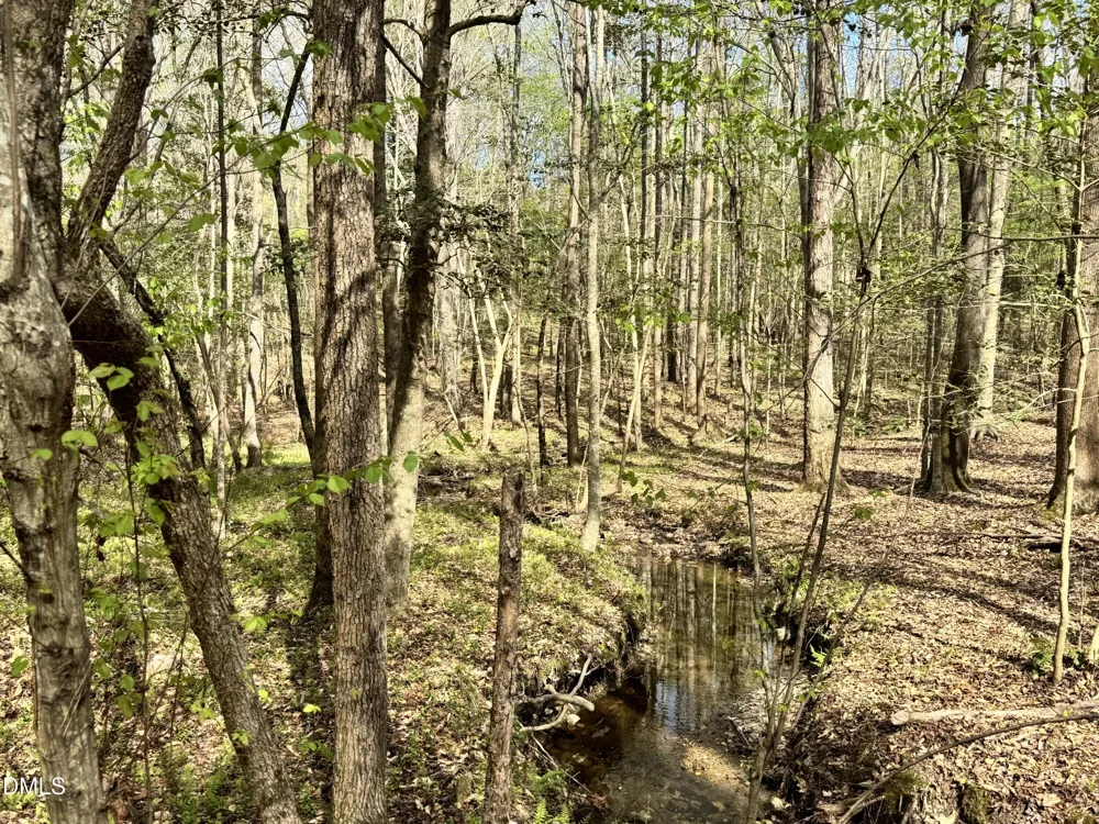 0 Westerman Place Smithfield, NC 27577