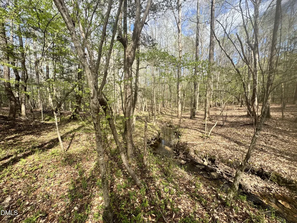 0 Westerman Place Smithfield, NC 27577