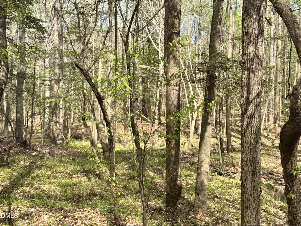 0 Westerman Place Smithfield, NC 27577