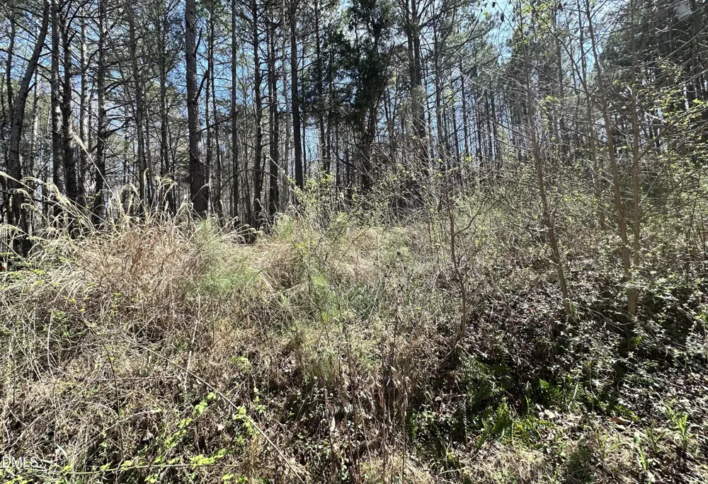 0 Pleasant Hill Church Road Siler City, NC 27344