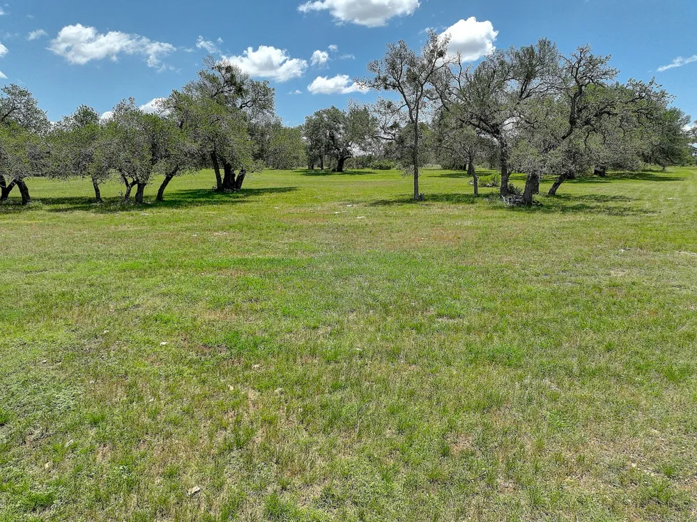 3514 FM 3509 Burnet, TX 78611
