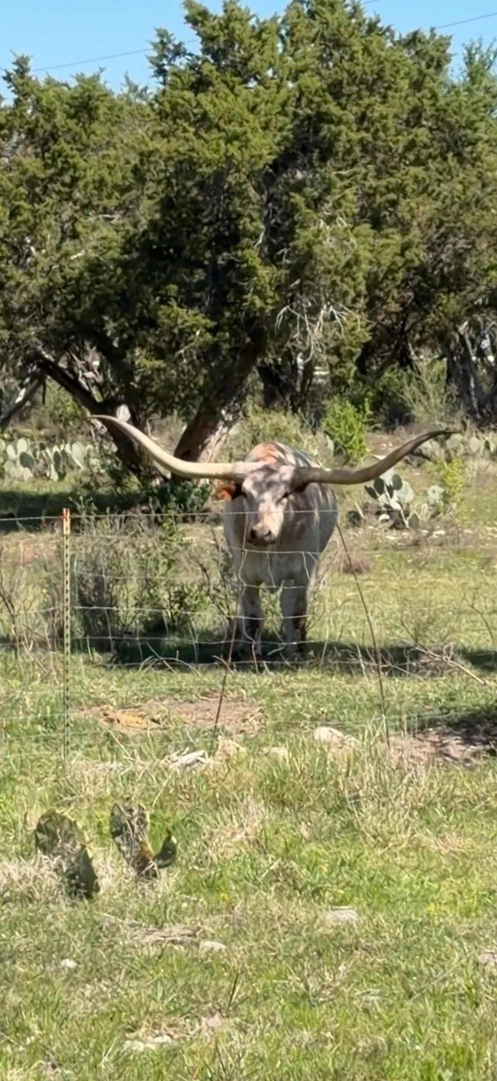 3514 FM 3509 Burnet, TX 78611