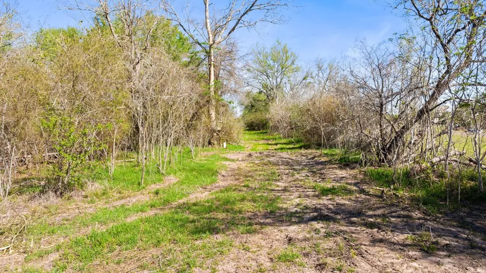 8530 FM 153 La Grange, TX 78945